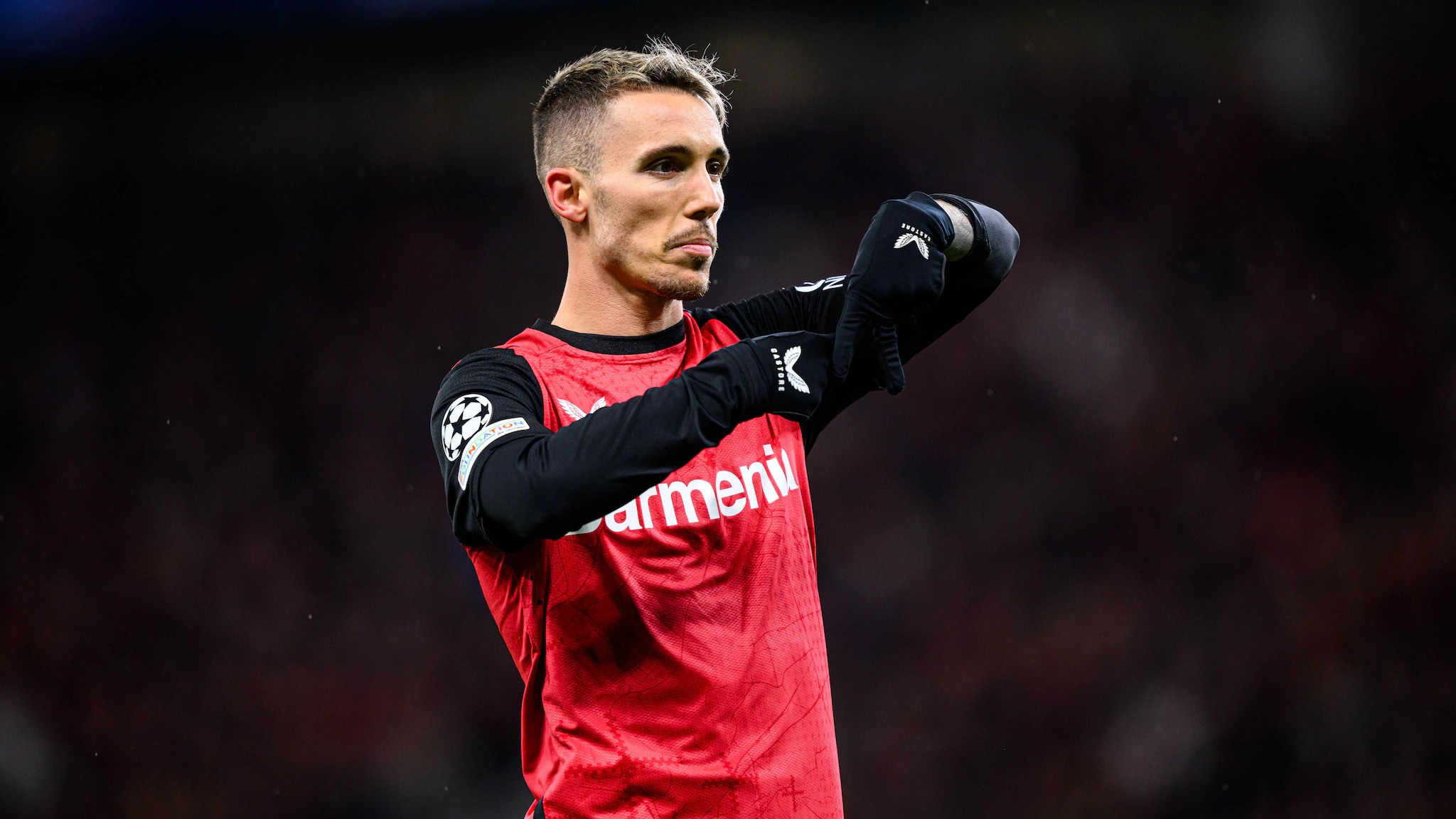 UCL Stadium at night